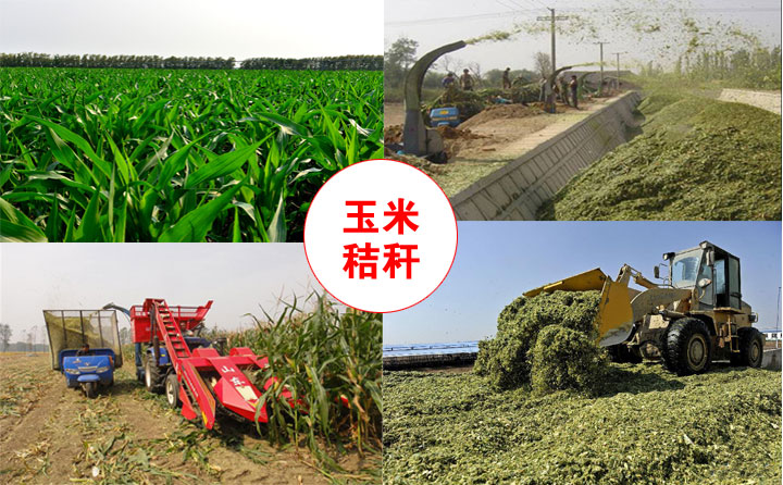 秸稈顆粒機(jī)原材料 秸稈顆粒機(jī)原材料