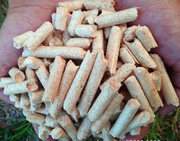 木屑顆粒機(jī)價(jià)格,木屑顆粒燃料