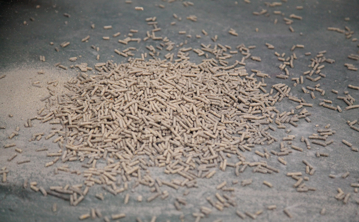 生物質(zhì)燃料 生物質(zhì)燃料