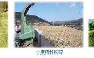 農(nóng)民科學(xué)發(fā)展新思路，秸稈綜合利用成為賺錢好門路之秸稈顆粒機(jī)