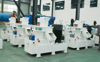 生物質(zhì)資源、生物質(zhì)發(fā)電現(xiàn)狀及前景