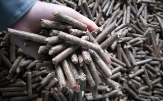 鋸末顆粒機(jī)顆粒，一種快速增長的能源載體