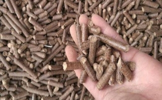 鋸末顆粒機(jī)生物質(zhì)燃料與燃煤對比情況如何？