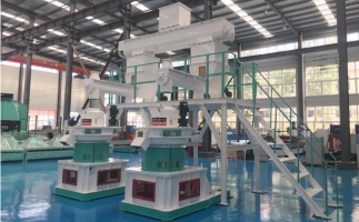 木屑顆粒機多少錢一臺?建顆粒廠大約多少錢？