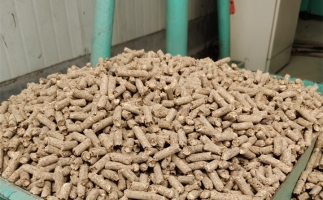 在燃燒時，水分大的生物質顆粒會出現(xiàn)哪些問題？