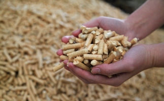 黟縣洪星鄉(xiāng)：“鋸末顆粒機(jī)的小顆?！睋Q來綠富雙贏