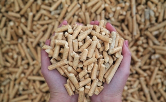 夏季儲存鋸末顆粒機(jī)生物質(zhì)顆粒的方法，要認(rèn)真看喲