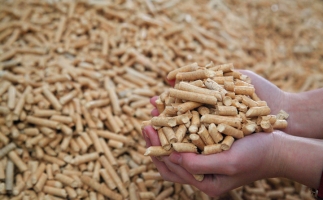 鋸末顆粒機(jī)生物質(zhì)顆粒，你需要知道的常識問題