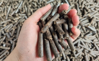 生物質(zhì)顆粒燃料公司前景怎么樣，木屑顆粒機(jī)的顆粒燃料賣給誰的？