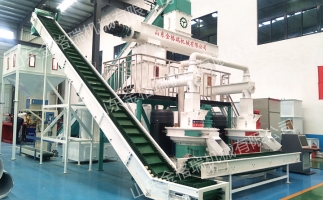 2023年木屑顆粒機(jī)生產(chǎn)生物質(zhì)燃料顆粒行情、利潤(rùn)怎么樣，投資多少大約？