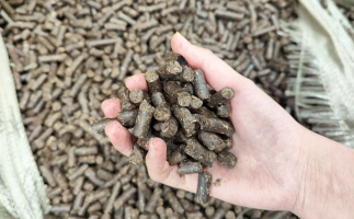 木屑顆粒機(jī)將秸稈變廢為寶，降碳節(jié)能一舉兩得