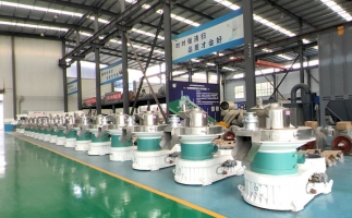 新手開顆粒廠，該選小型還是大型木屑顆粒機？